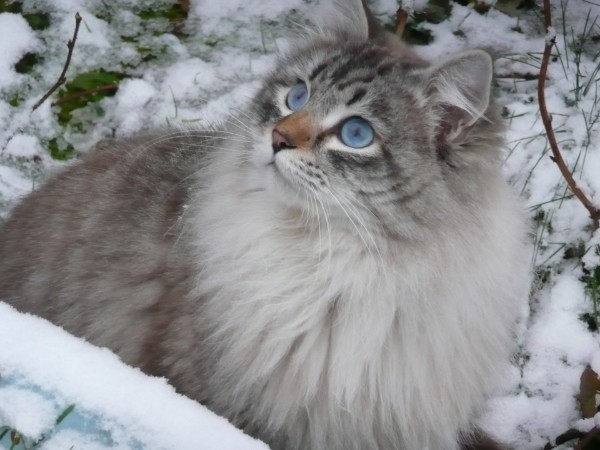 gallery/mediapool-129-1290007-resources-26739734